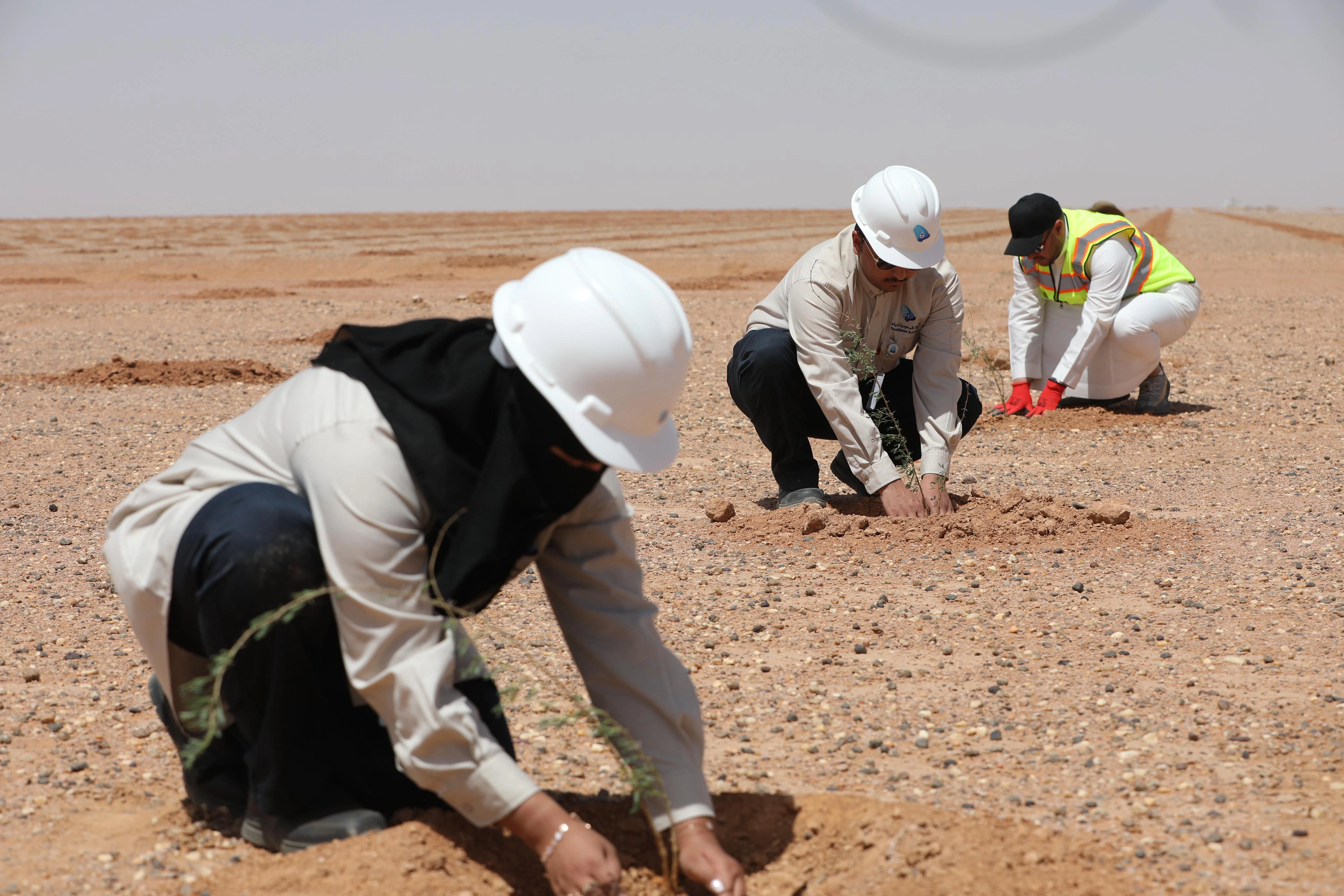 Social Responsibility Image